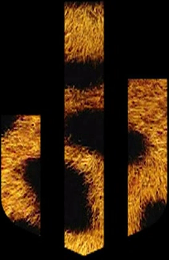 Beste deal 🎁 Sock My Feet - Sokken Heren 39 42 - Duurzaam Cadeau - Cadeau Voor Man Sinterklaas Cadeautjes Kerst Cadeau Voor Mannen 🧦 Socks Giftbox Grappige Cadeaus - Formule 1 Dollar ⌛ 4 Beste deal 🎁 Sock My Feet - Sokken Heren 39 42 - Duurzaam Cadeau - Cadeau Voor Man Sinterklaas Cadeautjes Kerst Cadeau Voor Mannen 🧦 Socks Giftbox Grappige Cadeaus - Formule 1 Dollar ⌛ - Afbeelding 2