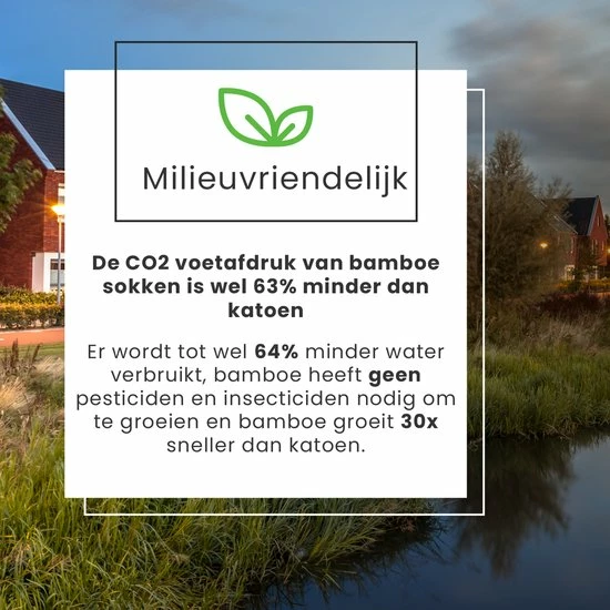 Flash-uitverkoop ✨ Jacob & Roy's 6 Paar Bamboe Sokken - Heren & Dames - Zwart - Maat 47-50 - Naadloos 🌟 9 Flash-uitverkoop ✨ Jacob & Roy's 6 Paar Bamboe Sokken - Heren & Dames - Zwart - Maat 47-50 - Naadloos 🌟 - Afbeelding 8